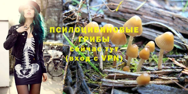jwh Михайлов