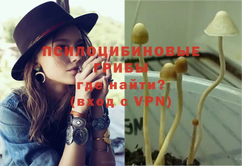 Галлюциногенные грибы Magic Shrooms  Старая Русса 