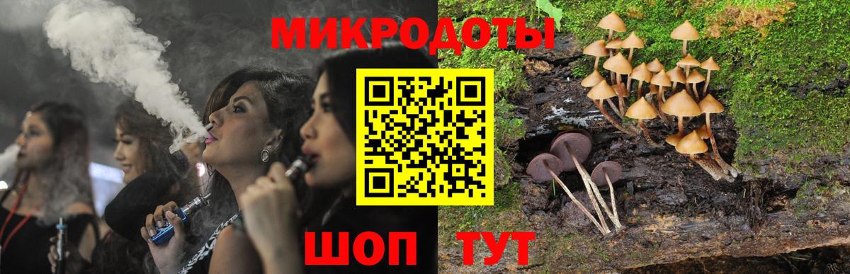 Галлюциногенные грибы Psilocybine cubensis Старая Русса