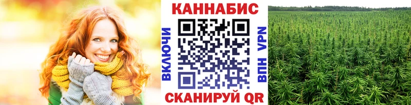 купить наркоту  Старая Русса  Бошки Шишки индика 